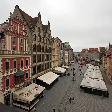 24w Rynek